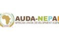 Young scientists in genome editing will drive agriculture — AUDA-NEPAD