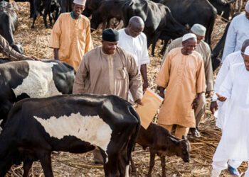 I’m not corrupt, didn’t acquire more assets as president; Nigerian politicians should imitate me: Buhari