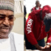 NDLEA storm Lagos hotel, seize illicit drug consignments worth N1.042 billion