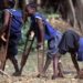 Polio: UNICEF targets 68,000 unvaccinated children in Plateau
