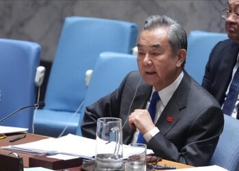 Compromise on US tariffs will ‘only embolden bully’: China’s top diplomat tells BRICS