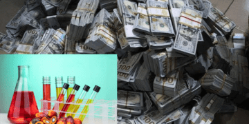 Three judges arrested, detained for accepting bribes in palm oil export case
