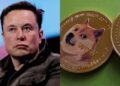 Elon Musk’s DOGE terminates $84,000 massage parlour grant to Nigeria
