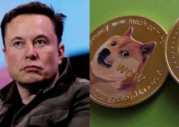 Elon Musk’s DOGE terminates $84,000 massage parlour grant to Nigeria