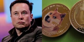 Elon Musk’s DOGE terminates $84,000 massage parlour grant to Nigeria