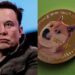 Elon Musk’s DOGE terminates $84,000 massage parlour grant to Nigeria