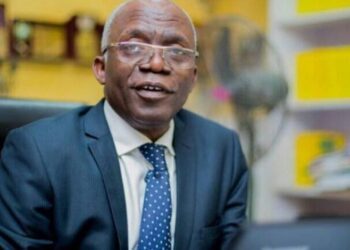 ‘Go to court not police’, Falana slams Akpabio for petitioning IGP over Natasha’s allegation