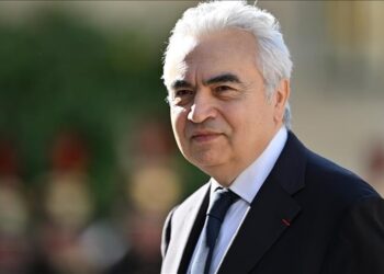 IEA chief calls for action to prevent monopoly in critical mineral supply