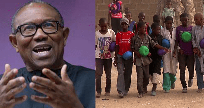 Unfortunate Northerners ravaged by poverty, bandits need EU’s special attention: Peter Obi