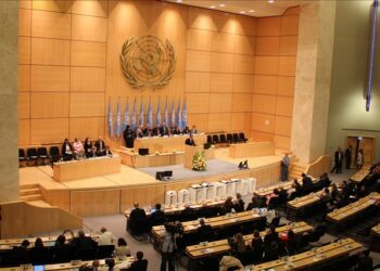 UN trade agency urges US to spare vulnerable economies from tariffs