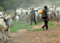 Violent Killings: Gov Mutfwang bans night grazing in Plateau