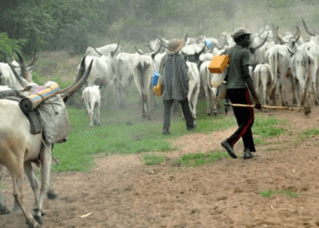 Violent Killings: Gov Mutfwang bans night grazing in Plateau