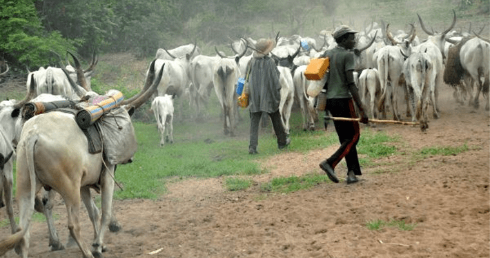 Violent Killings: Gov Mutfwang bans night grazing in Plateau