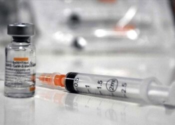 African health ministers launch vaccination drive against polio variant in Lake Chad Basin