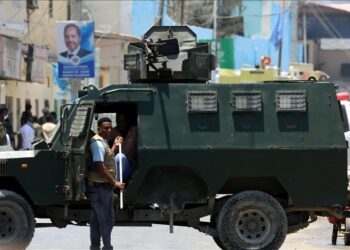Somali security forces kill over 80 al-Shabaab terrorists