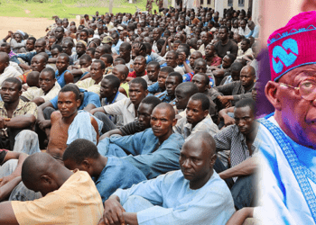 Nigeria warehousing hundreds of alleged Boko Haram terrorists without trial: Military Commander