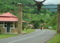 Fatal Crash: Cross River to review Obudu Ranch safety