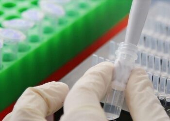 World nears ‘politically feasible’ pandemic accord, but funding remains weak link: Expert