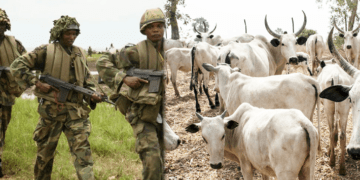 Nigerian troops rescue 1,000 cattle in Taraba amid gunfight with bandits
