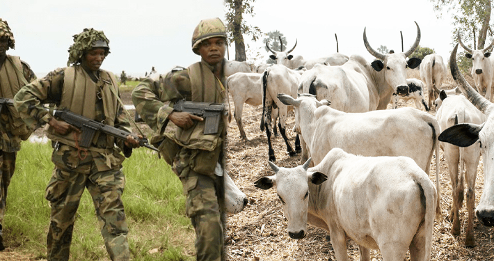 Nigerian troops rescue 1,000 cattle in Taraba amid gunfight with bandits