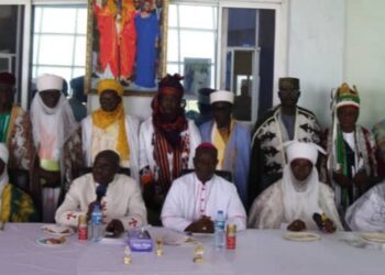 Southern Kaduna traditional rulers unite for peace, development