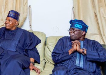 Tinubu committed to unlock Nigeria’s potential, says Shettima