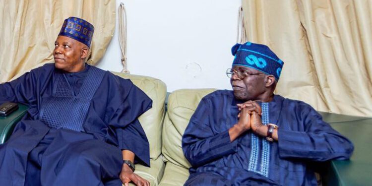 Tinubu committed to unlock Nigeria’s potential, says Shettima