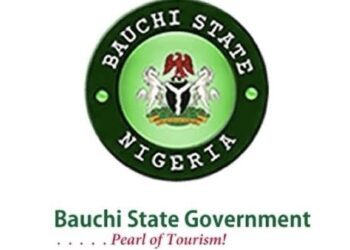 Bauchi environmental agency bans farming in open spaces across metropolis
