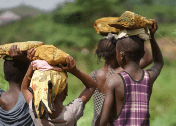 138 million children in child labour globally last year, say UNICEF, ILO