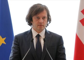 Georgian premier accuses EU officials of promoting extremism