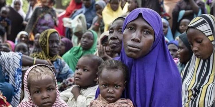 UN lists Nigeria as hunger hotspot, warns acute food insecurity will worsen in north