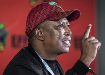 South Africa’s radical opposition figure Julius Malema hits back at Trump, Elon Musk