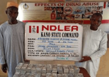 NDLEA busts syndicate sponsoring pilgrims with cocaine to hajj, arrests three