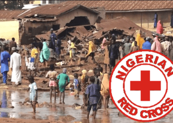Red Cross offers emergency relief to communities overrun by flood in Niger