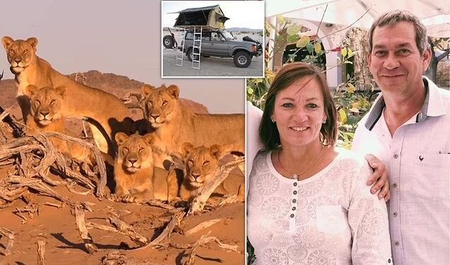 Namibian businessman killed by lioness while on safari with his wife, friends