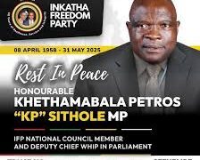 South Africa’s Inkatha Freedom Party whip shot dead in Johannesburg