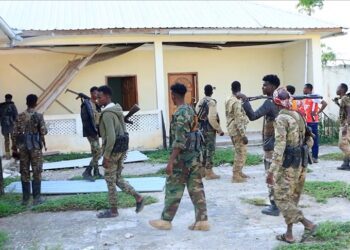 Somali army kills over 37 al-Shabaab terrorists in southern region