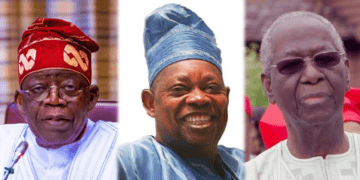 MKO betrayed my father, SDP; Tinubu’s June 12 role acknowledged: Ose Anenih