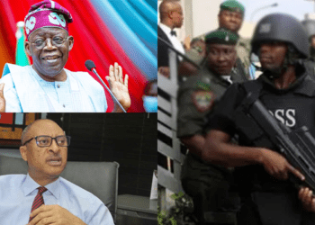 ‘Shadow Government’: SSS begs court to bar Pat Utomi from holding anti-Tinubu rallies in Nigeria
