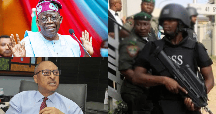 ‘Shadow Government’: SSS begs court to bar Pat Utomi from holding anti-Tinubu rallies in Nigeria