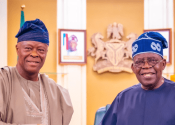 Tinubu govt deepening fiscal, monetary policy to stimulate economic growth: Finance Minister