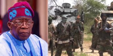 Boko Haram attacking Borno to spread fear, security agencies should crush them: Tinubu