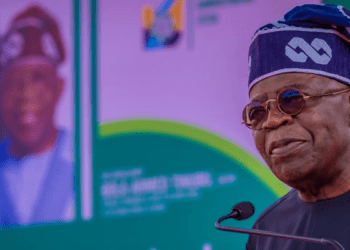 Early signs of Tinubu’s economic reforms encouraging, says aide