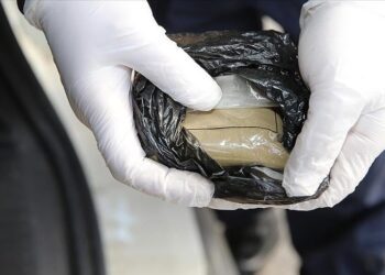 Oceania reports highest cocaine use globally, says UN drug report