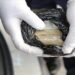 Oceania reports highest cocaine use globally, says UN drug report