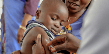 89% of infants vaccinated globally in 2024, WHO, UNICEF warn of risks