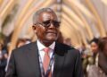 Africans will develop Africa, Dangote tells 24 global CEOs