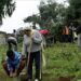 Ethiopia says 700M trees planted in one-day campaign