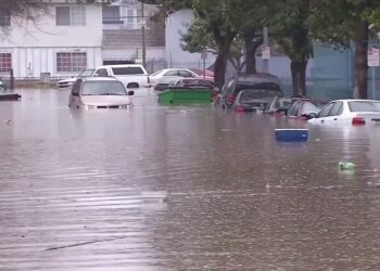 Floods may unleash toxic chemicals, pose risk to elderly, UN warns