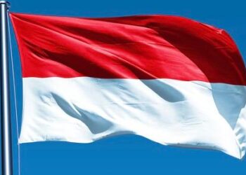 13 suspects trafficking babies to Singapore nabbed in Indonesia